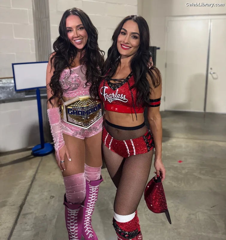 The Bella Twins photo 7 of 1421