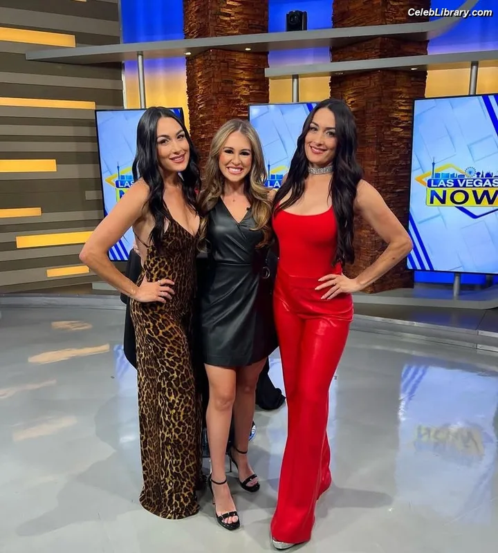 The Bella Twins photo 11 of 1421
