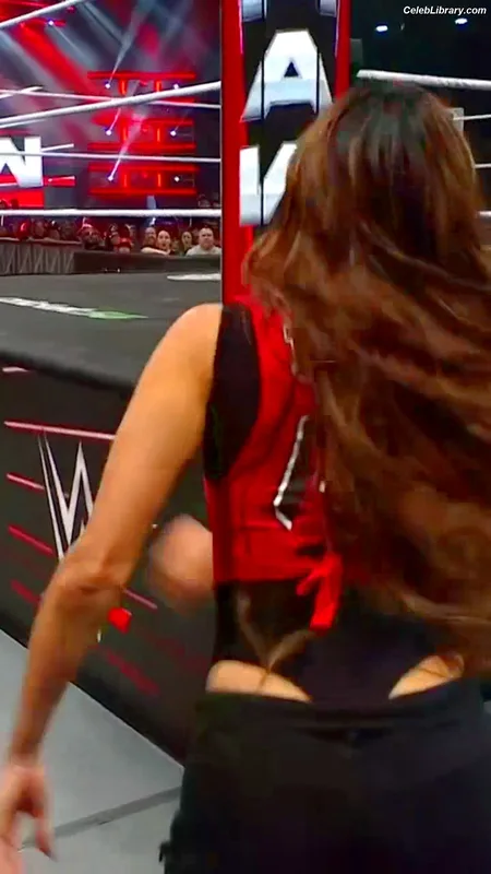 The Bella Twins photo 17 of 1421