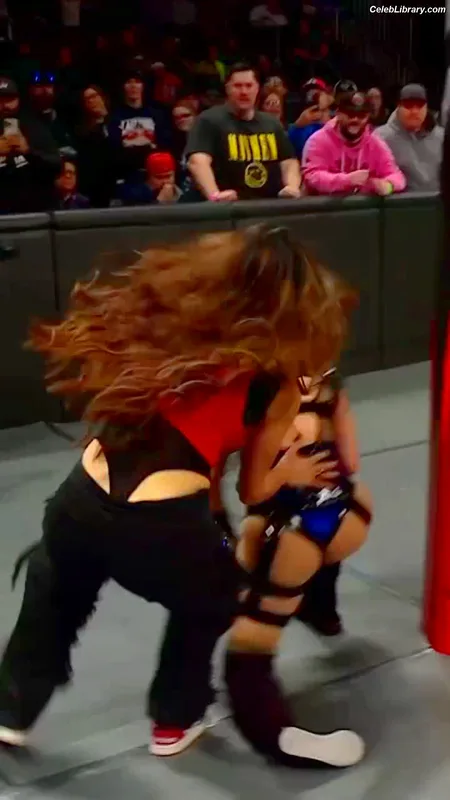 The Bella Twins photo 6 of 1421