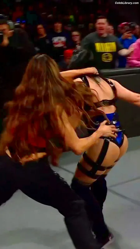 The Bella Twins photo 22 of 1421