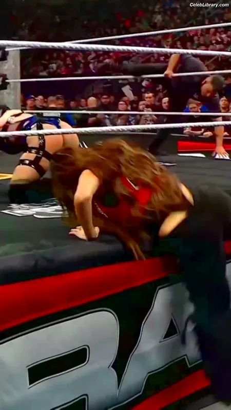 The Bella Twins photo 20 of 1421