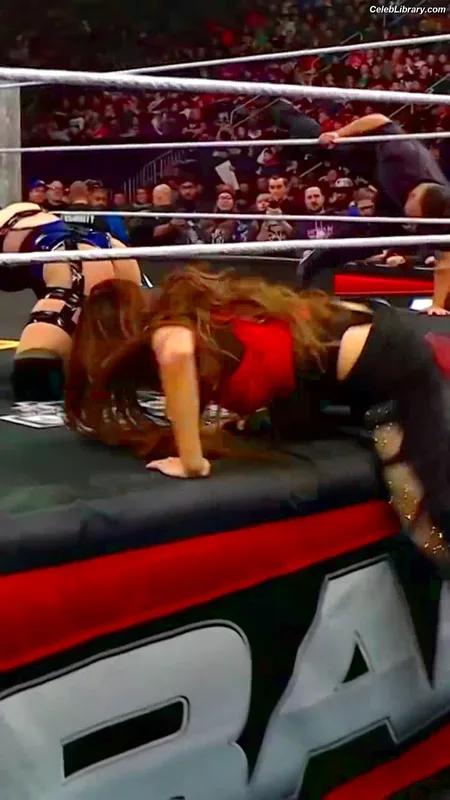 The Bella Twins photo 16 of 1421