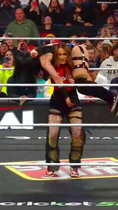 The Bella Twins photo 23 of 1421