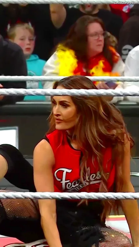 The Bella Twins photo 17 of 1421