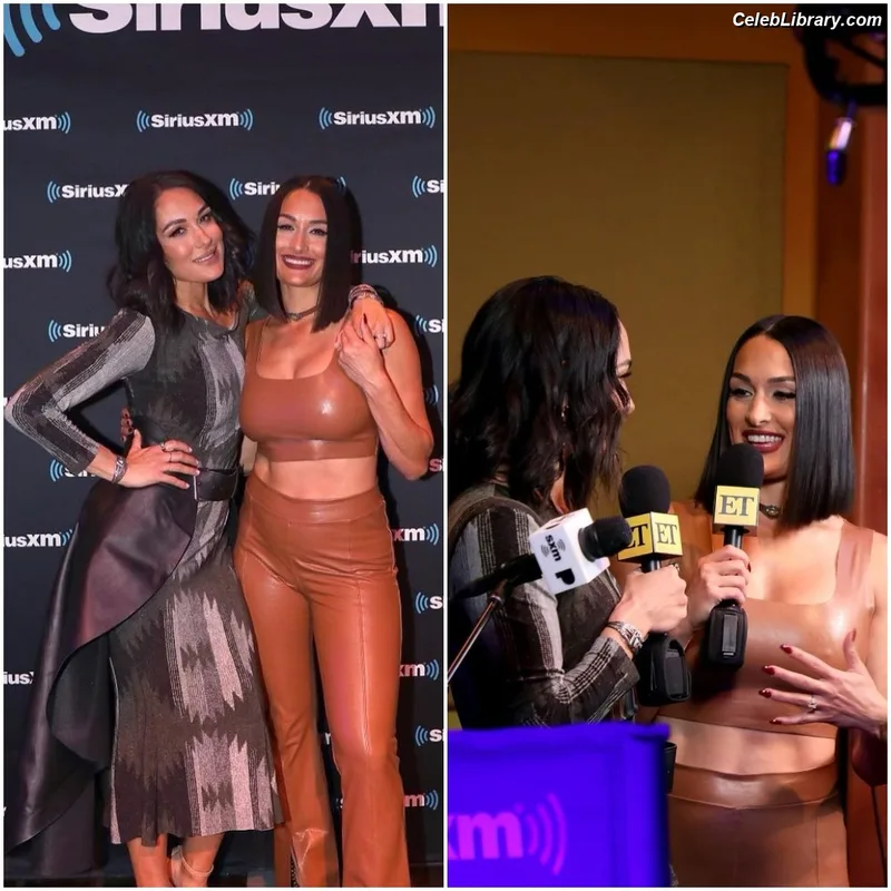 The Bella Twins photo 11 of 1421
