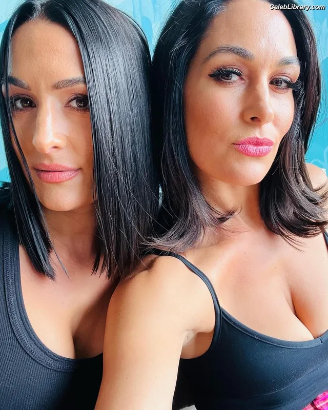 The Bella Twins photo 12 of 1421
