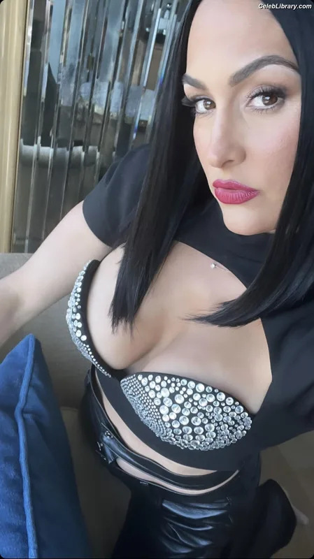 The Bella Twins photo 20 of 1421