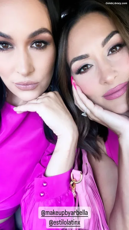 The Bella Twins photo 15 of 1421