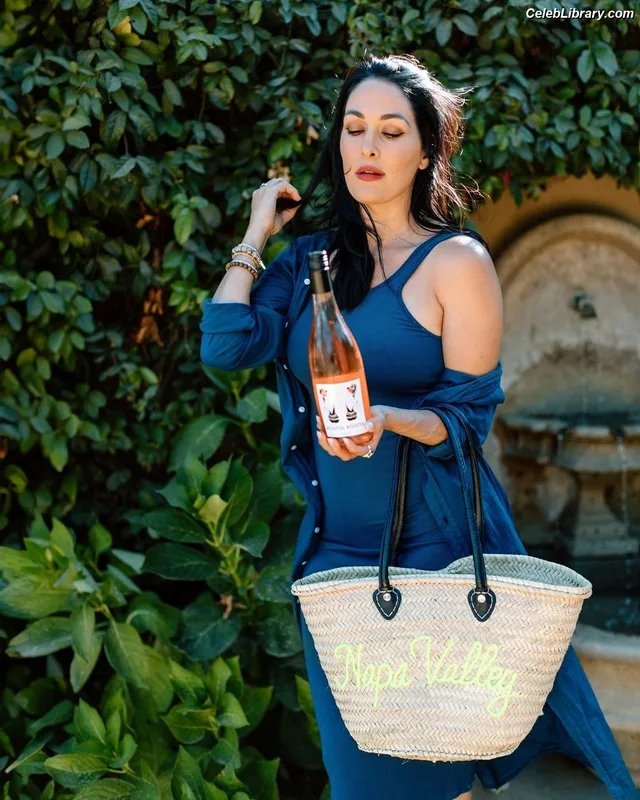 The Bella Twins photo 17 of 1421