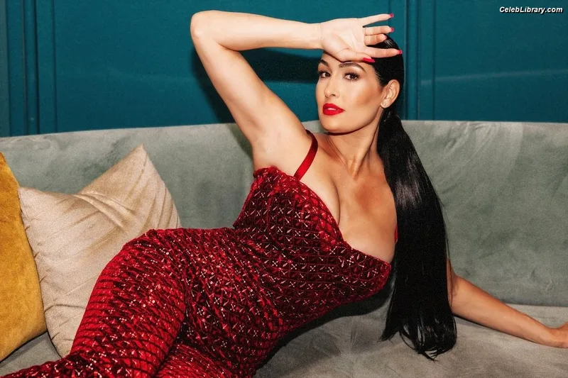 The Bella Twins photo 17 of 1421