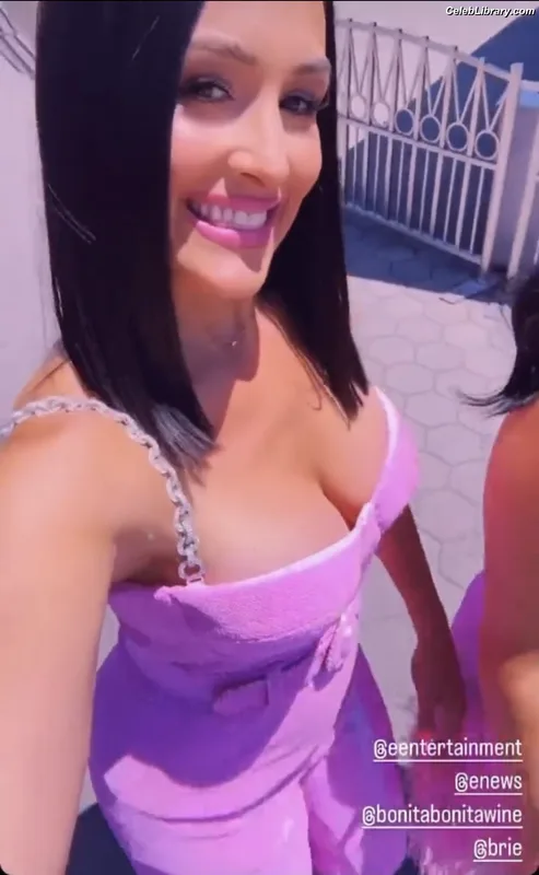 The Bella Twins photo 22 of 1421