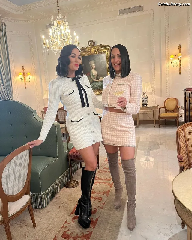 The Bella Twins photo 1 of 1421