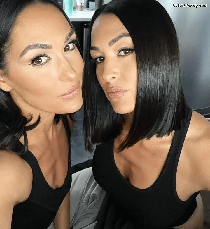 The Bella Twins photo 12 of 1421