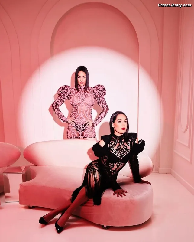 The Bella Twins photo 13 of 1421