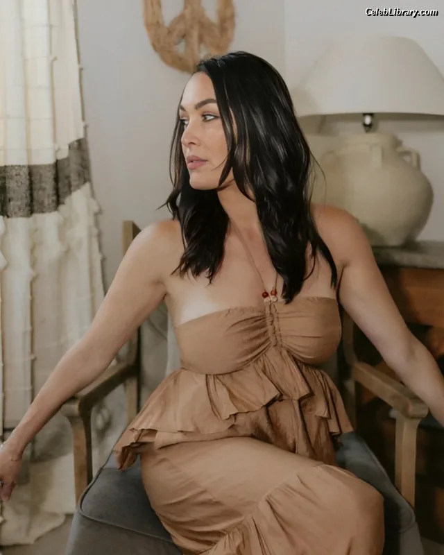 The Bella Twins photo 15 of 1421