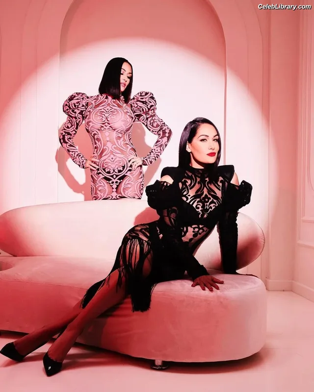 The Bella Twins photo 16 of 1421