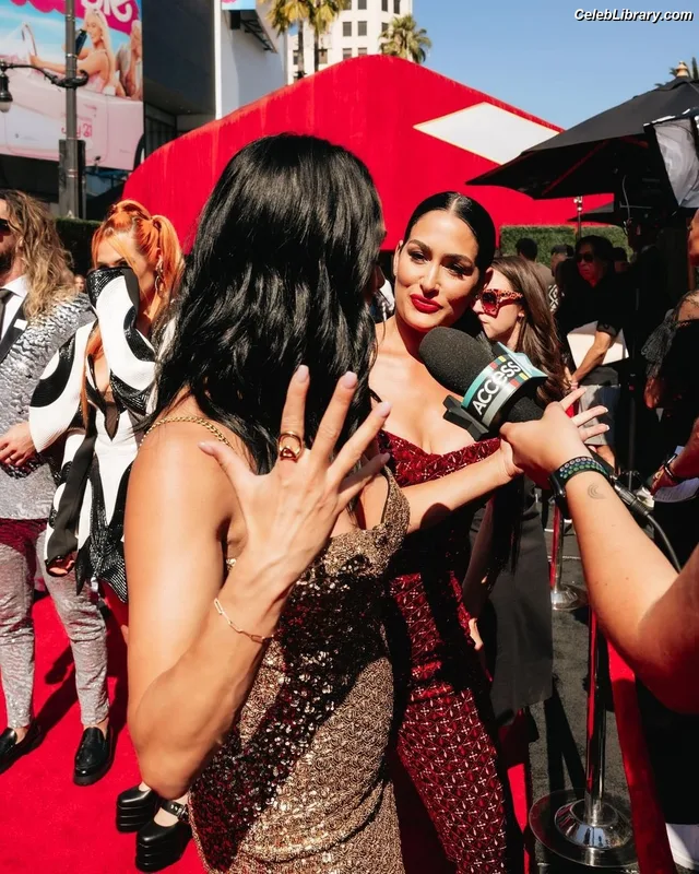 The Bella Twins photo 5 of 1421