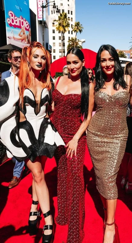 The Bella Twins photo 22 of 1421