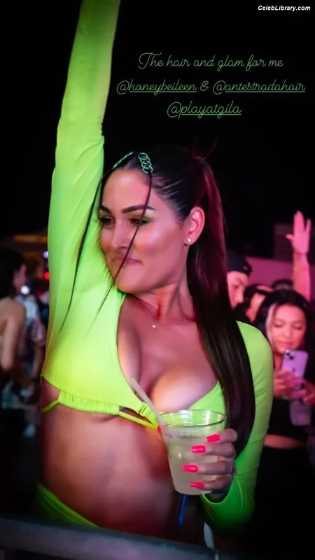 The Bella Twins photo 22 of 1421
