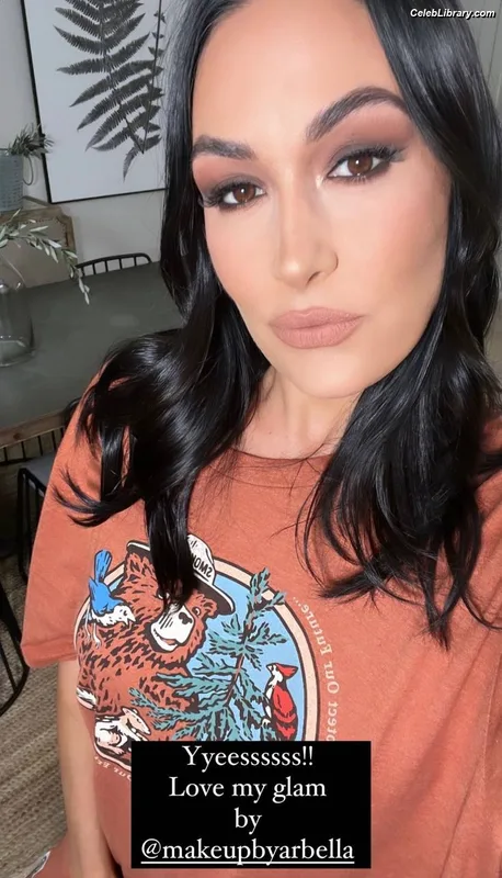 The Bella Twins photo 23 of 1421