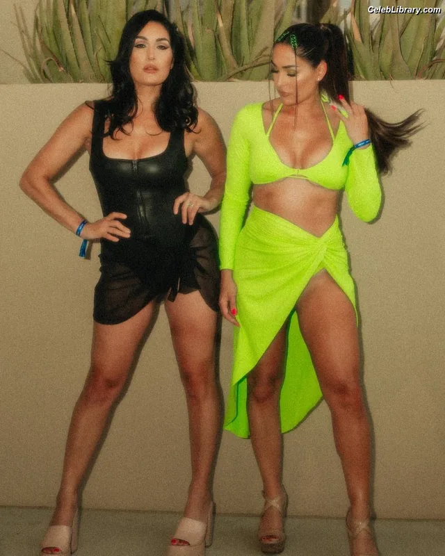 The Bella Twins photo 24 of 1421