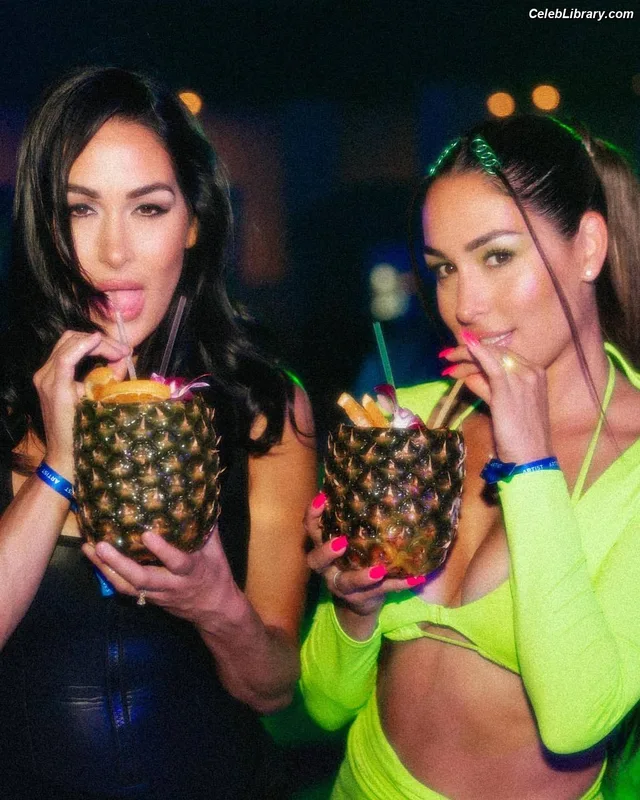 The Bella Twins photo 7 of 1421