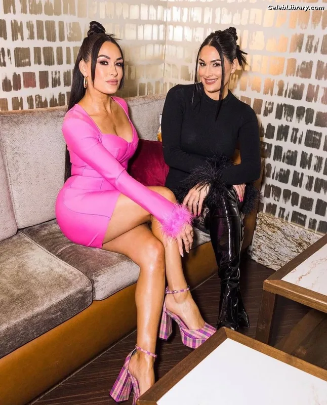 The Bella Twins photo 8 of 1421