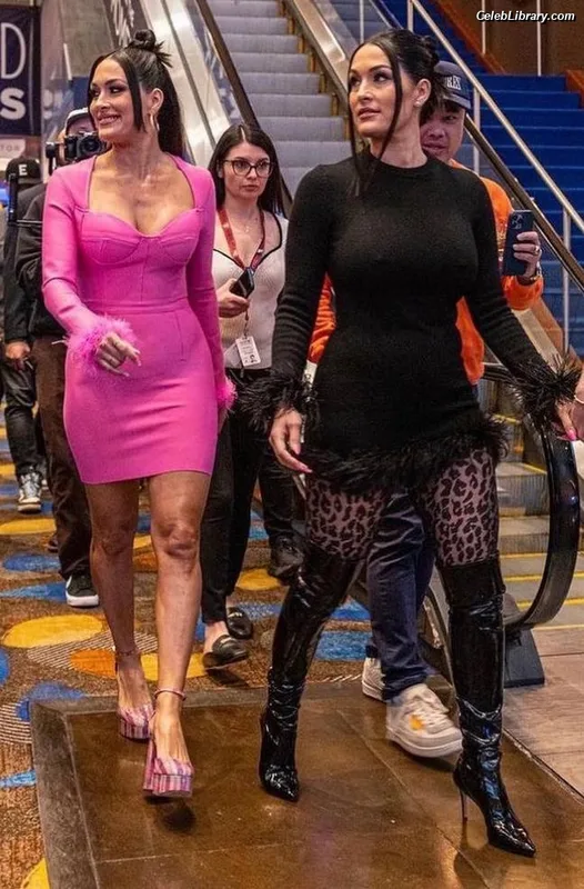 The Bella Twins photo 4 of 1421