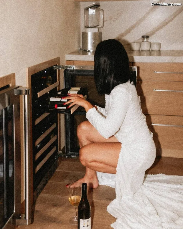 The Bella Twins photo 2 of 1421