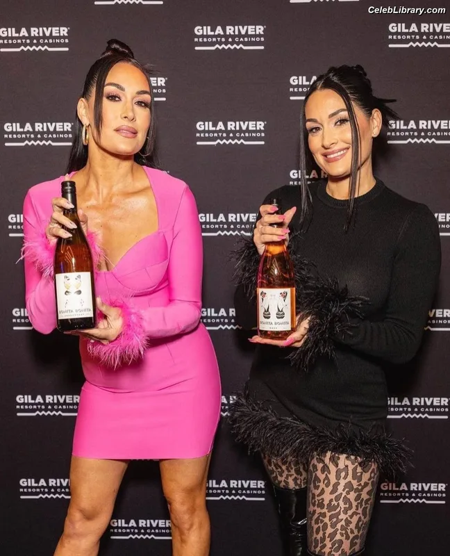 The Bella Twins photo 6 of 1421