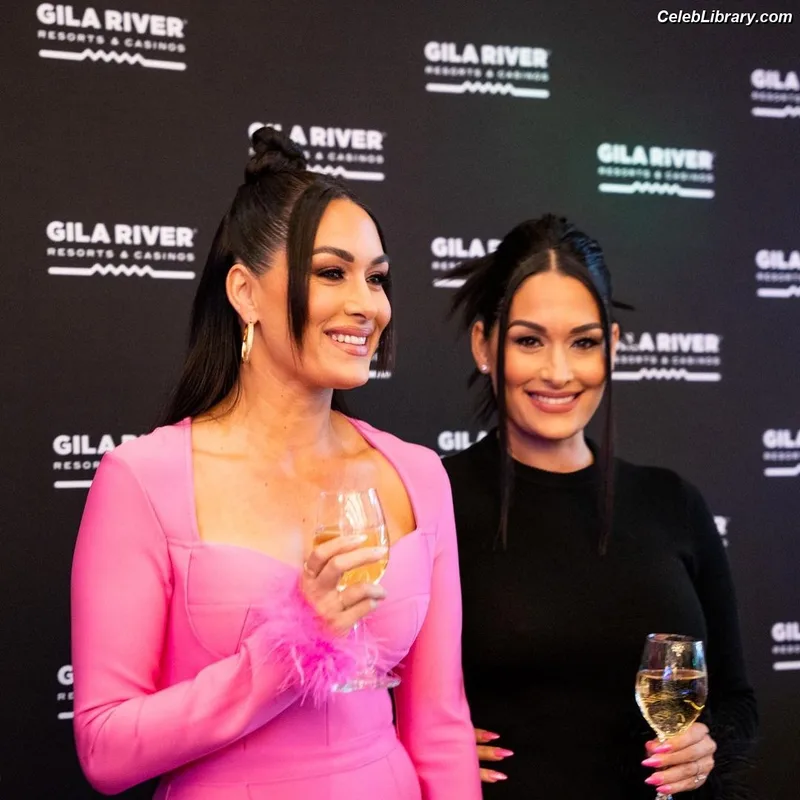 The Bella Twins photo 10 of 1421