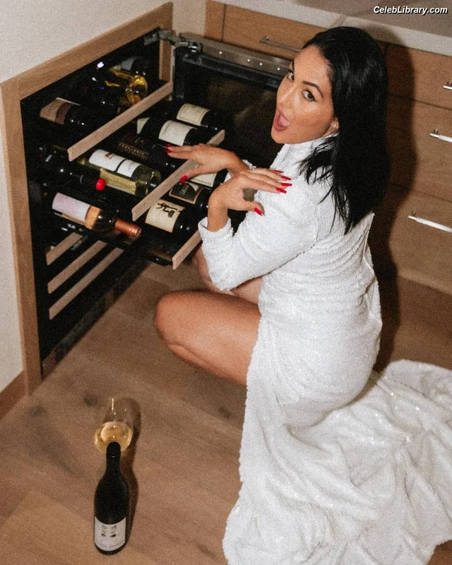 The Bella Twins photo 11 of 1421
