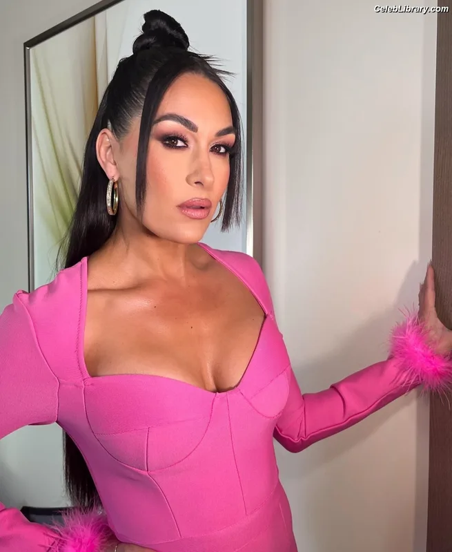 The Bella Twins photo 11 of 1421