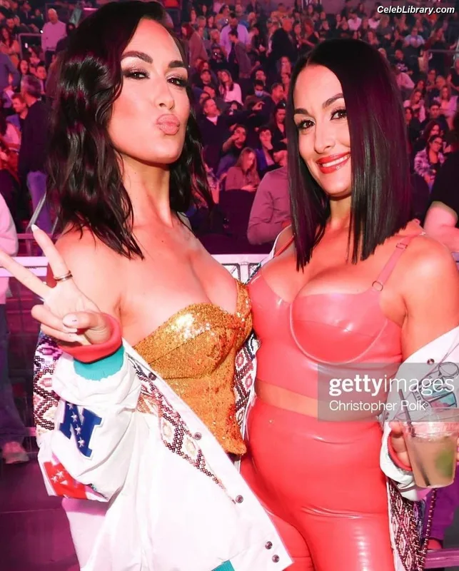 The Bella Twins photo 12 of 1421