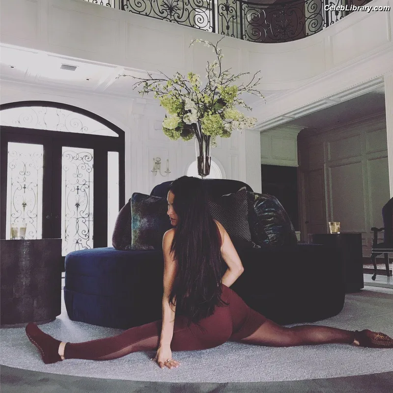The Bella Twins photo 23 of 1421