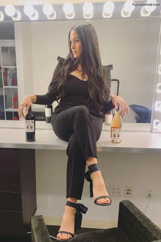 The Bella Twins photo 22 of 1421