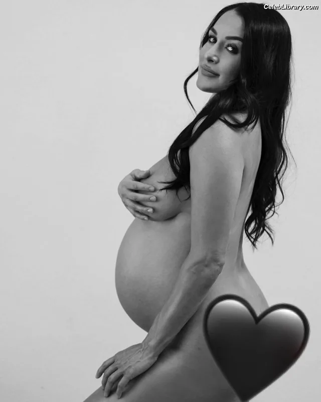 The Bella Twins photo 2 of 1421