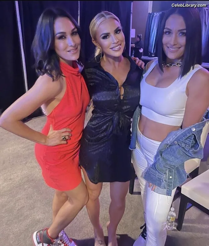 The Bella Twins photo 13 of 1421