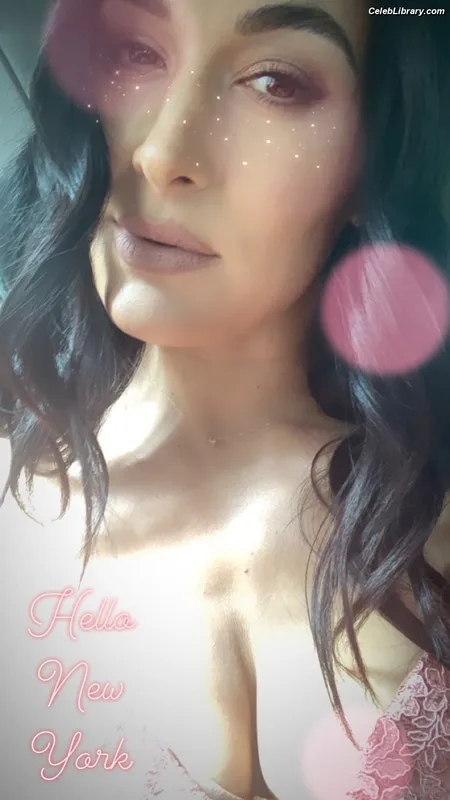 The Bella Twins photo 3 of 1421