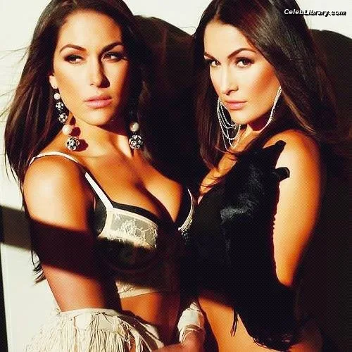 The Bella Twins photo 2 of 1421