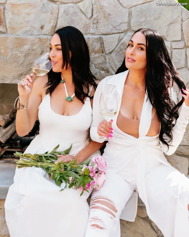 The Bella Twins photo 5 of 1421
