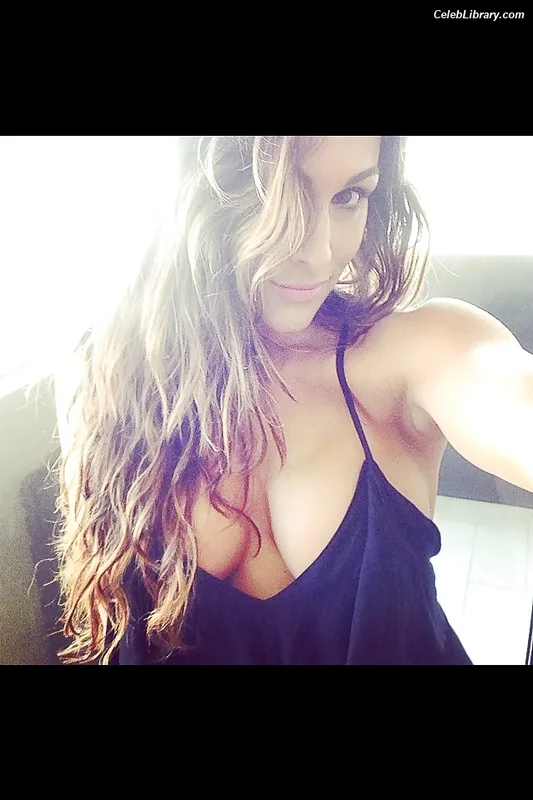 The Bella Twins photo 4 of 1421