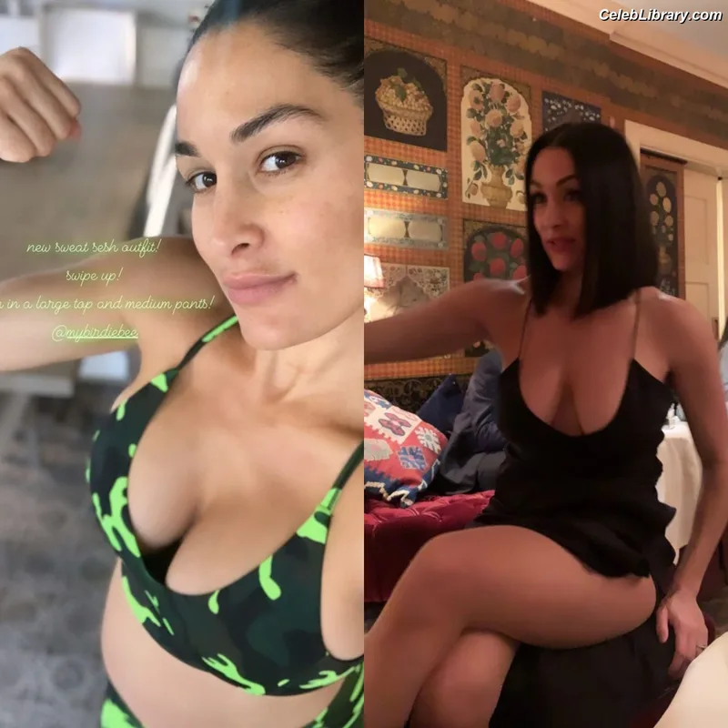 The Bella Twins photo 6 of 1421