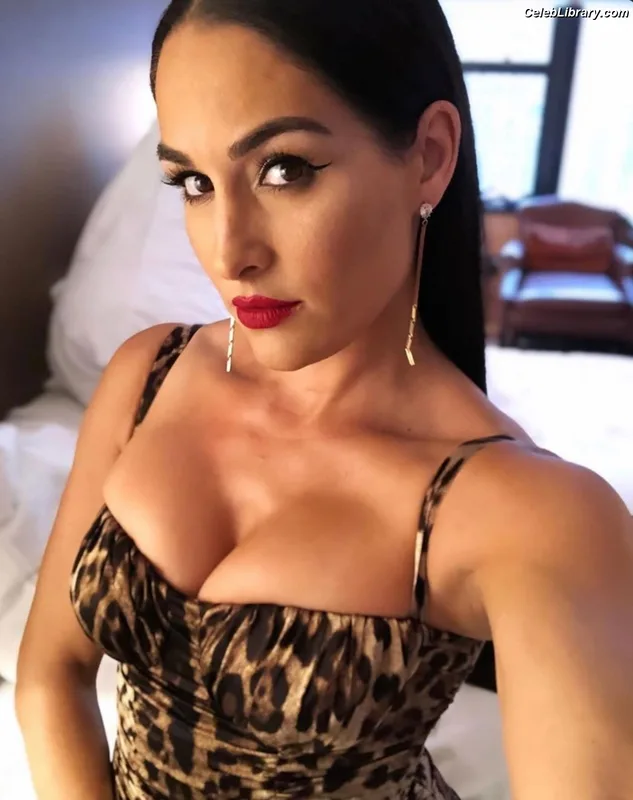 The Bella Twins photo 5 of 1421