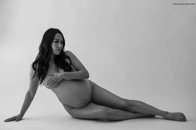 The Bella Twins photo 7 of 1421
