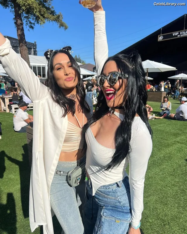 The Bella Twins photo 7 of 1421