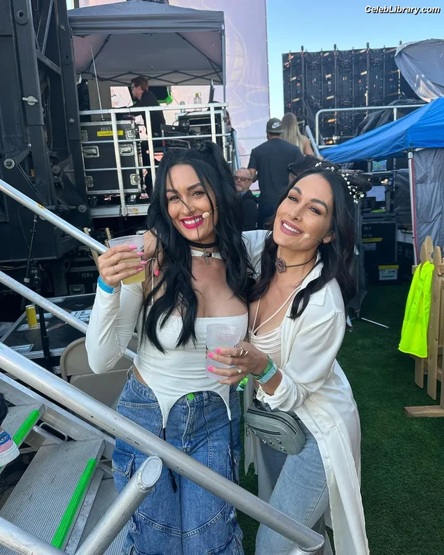 The Bella Twins photo 8 of 1421