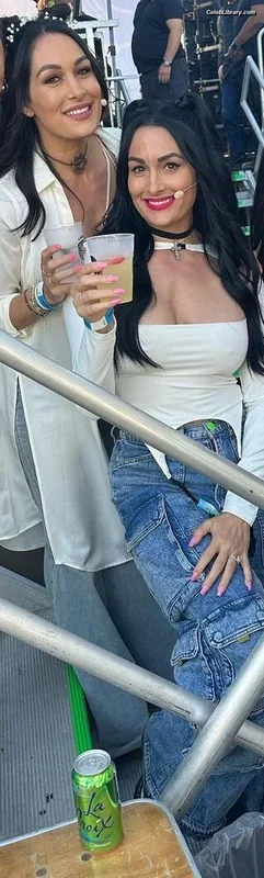 The Bella Twins photo 11 of 1421