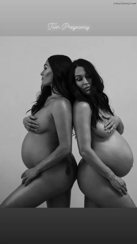 The Bella Twins photo 14 of 1421